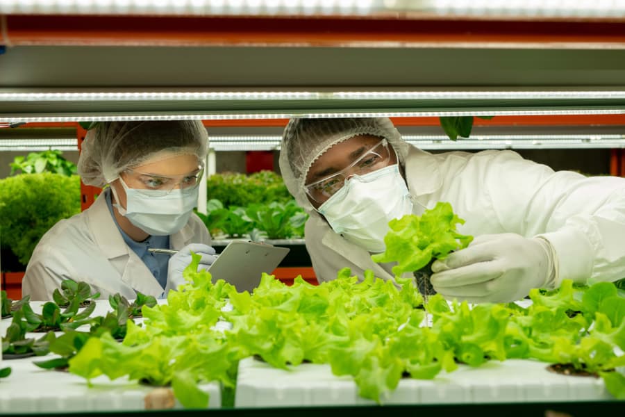 Sicurezza Alimentare